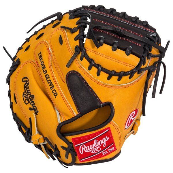 Rawlings Heart of the Hide Catchers Mitt webbing