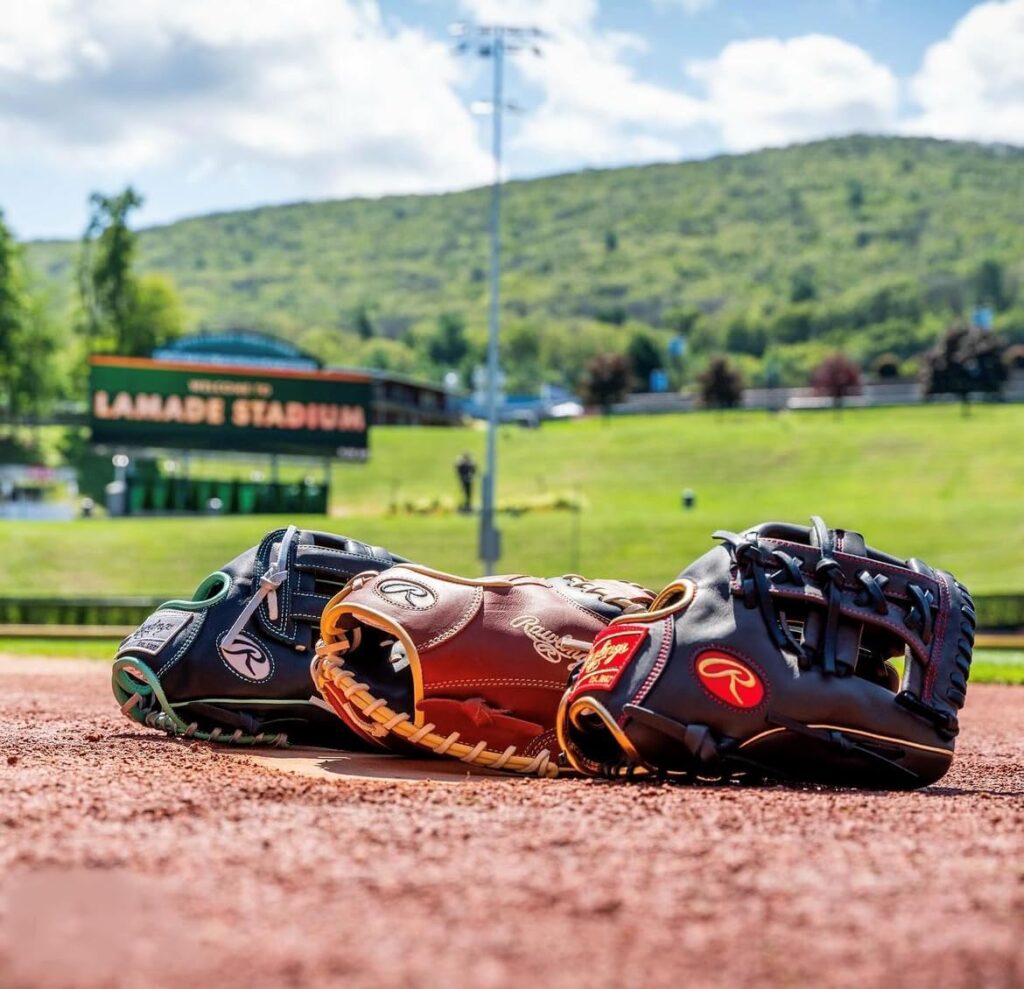 Rawlings NXT Youth Countour Gloves