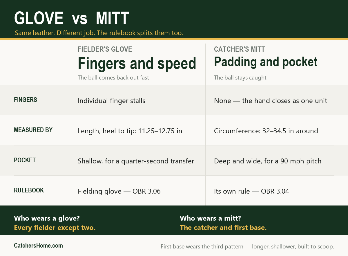 Comparison card: fielder's glove versus catcher's mitt — fingers, sizing method, pocket and rulebook differences